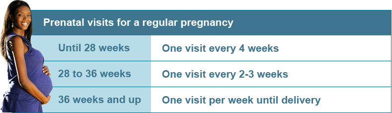 pregnant-members-medicaid_pregnancy-visit-table