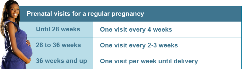 pregnancy doctor visits by week