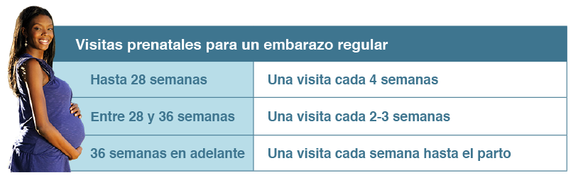 prenatal-visit-table-spanish
